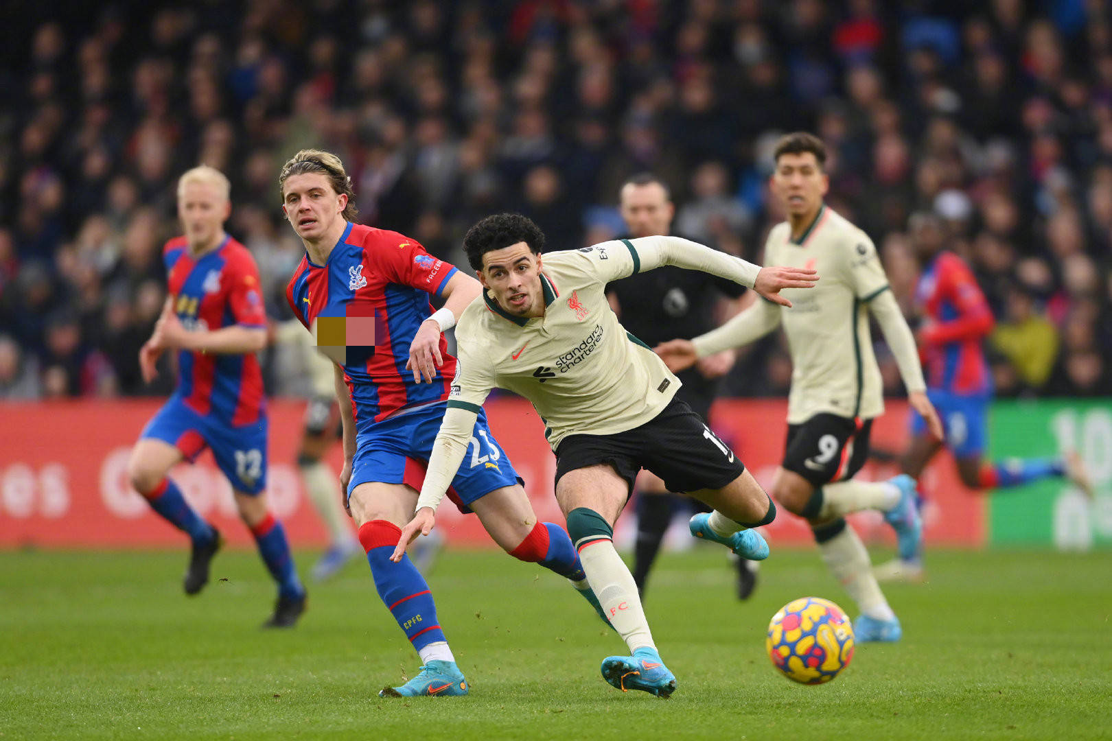 掘个人的潜 掘个人的潜